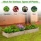 Natural Fir Wood Raised Garden Bed 95 Inch Outdoor Planter Box for Vegetables Herbs